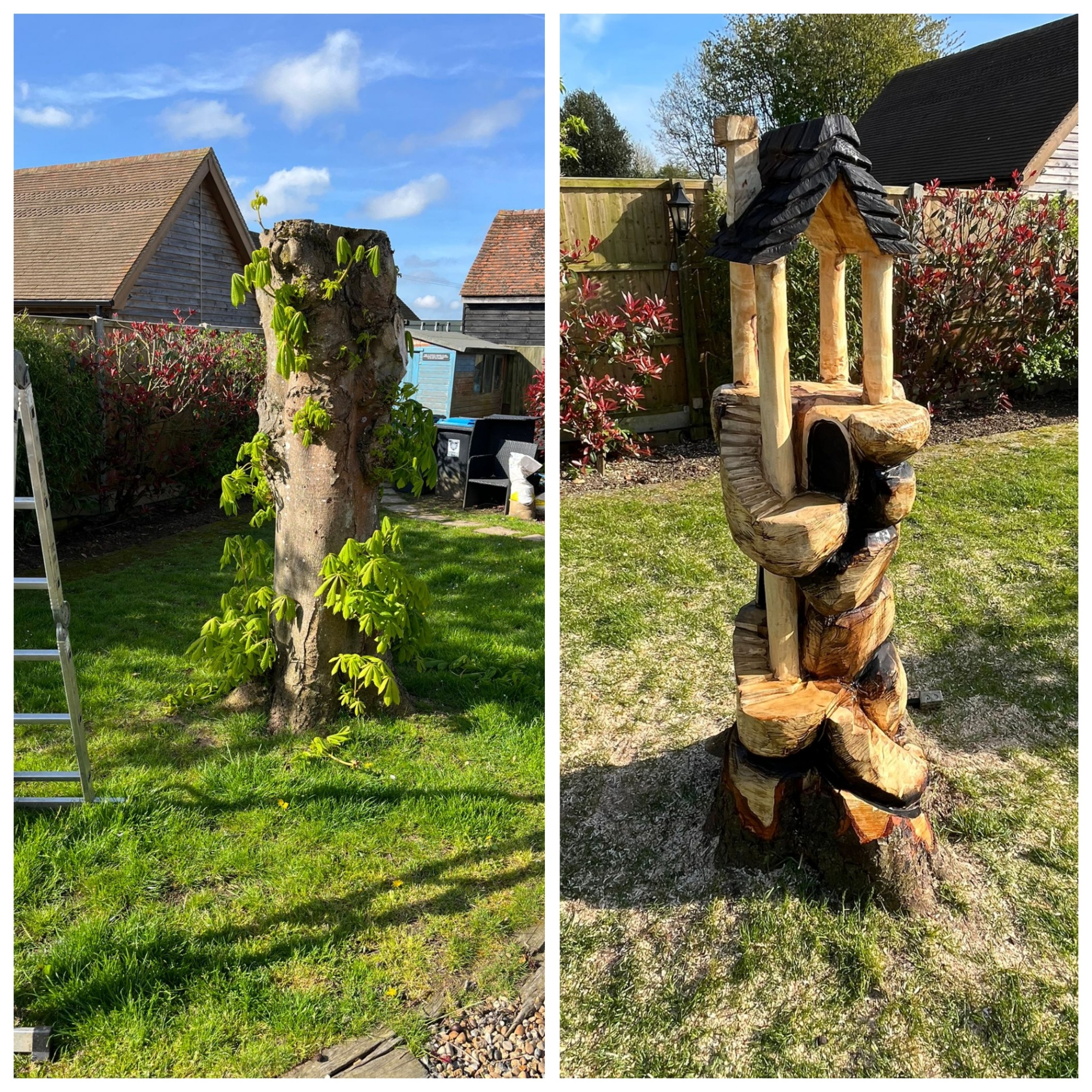 Chainsaw carving from retained stump