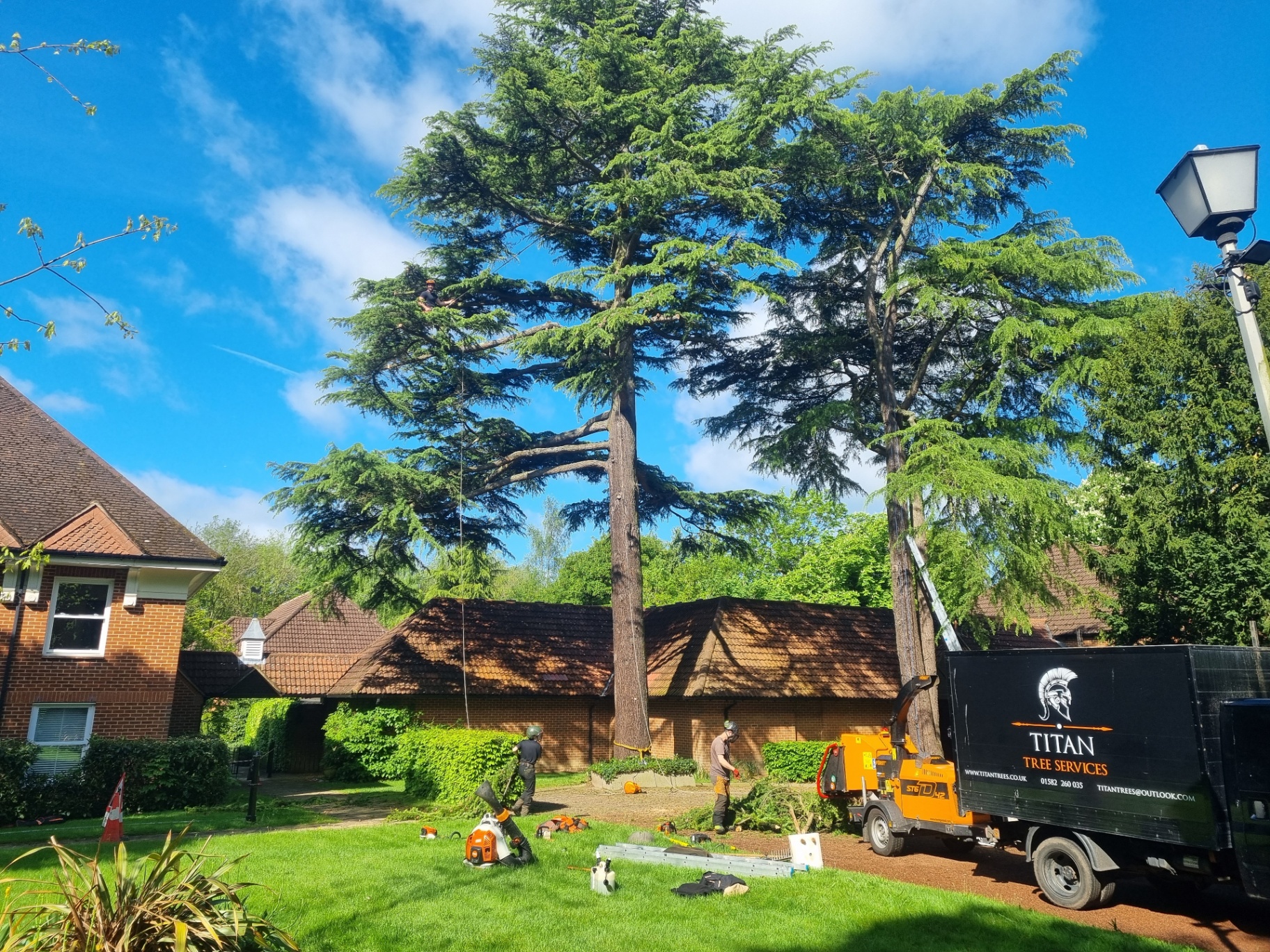 Cedar crown work, communal grounds