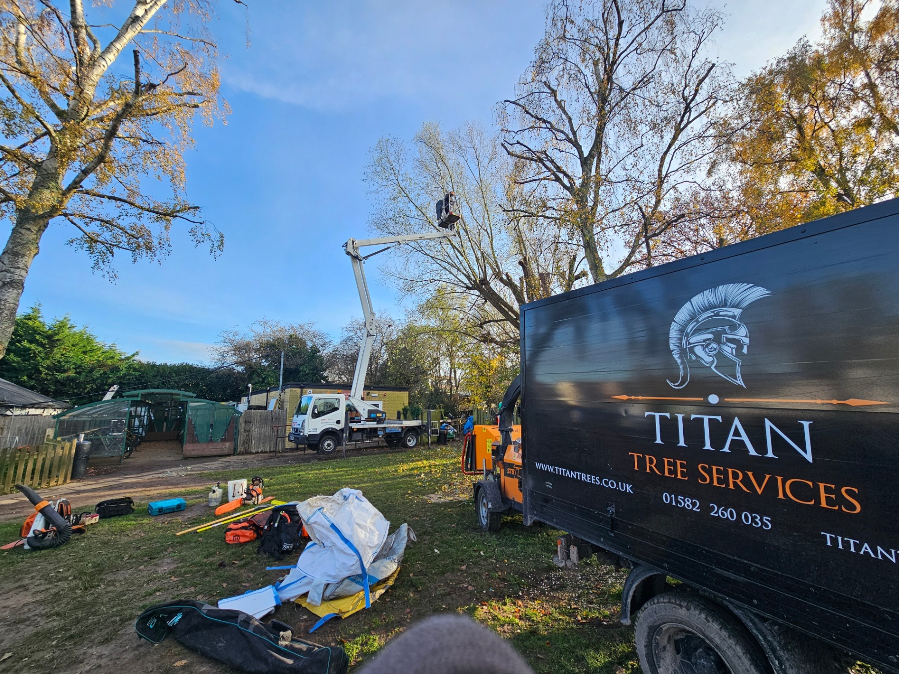 Cherry-picker pruning, autumn clearance